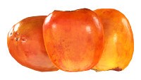 Persimmon