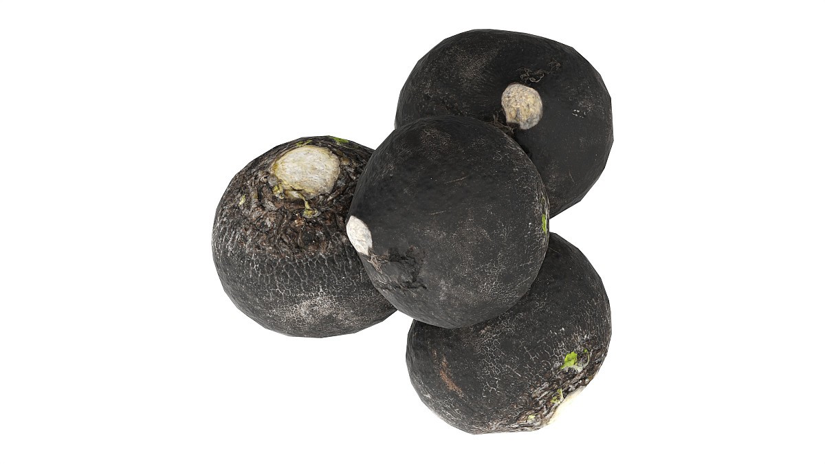 Black radish