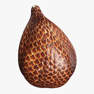 Salak Snake fruit