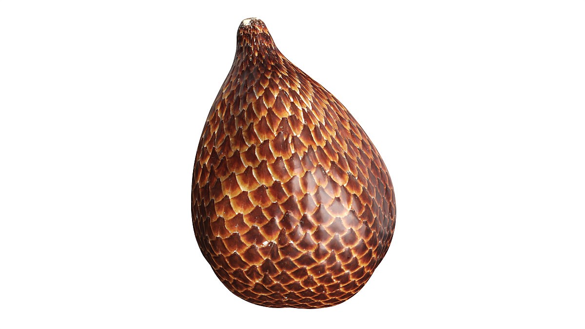 Salak Snake fruit