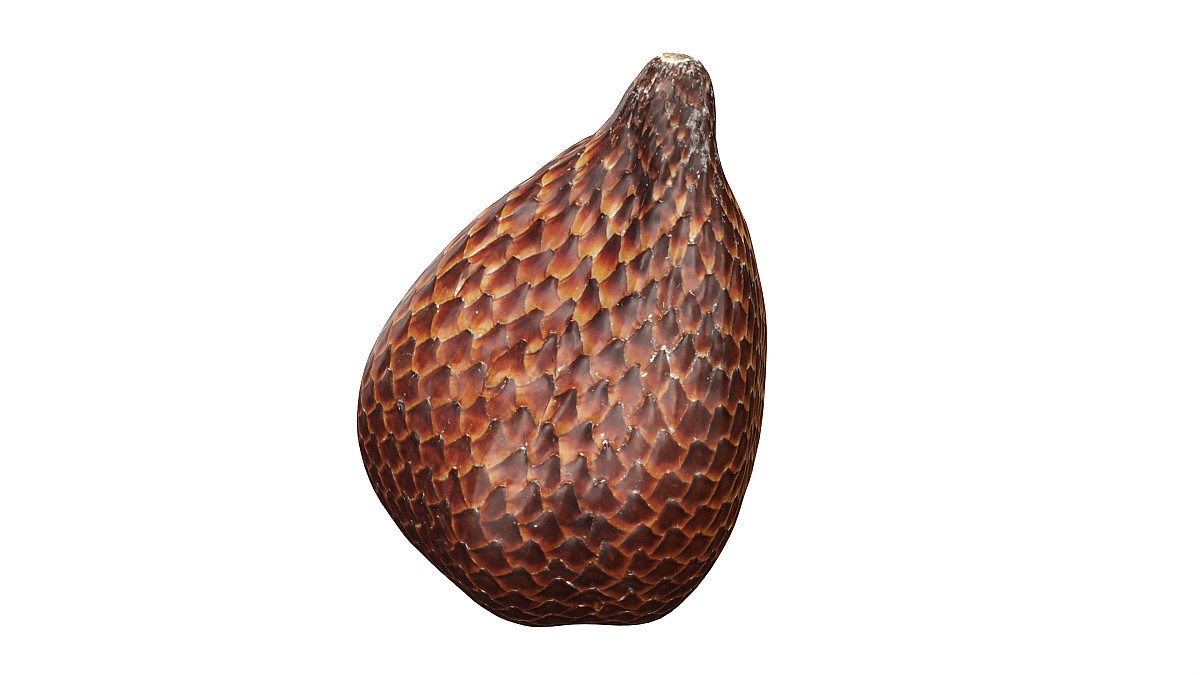 Salak Snake fruit