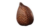 Salak Snake fruit