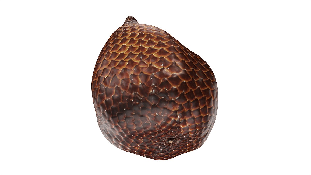 Salak Snake fruit