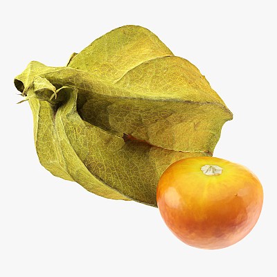 Physalis goldenberry