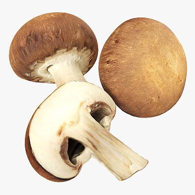 Brown cap mushrooms