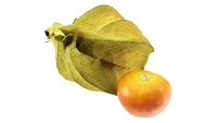 Physalis goldenberry