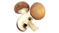 Brown cap mushrooms