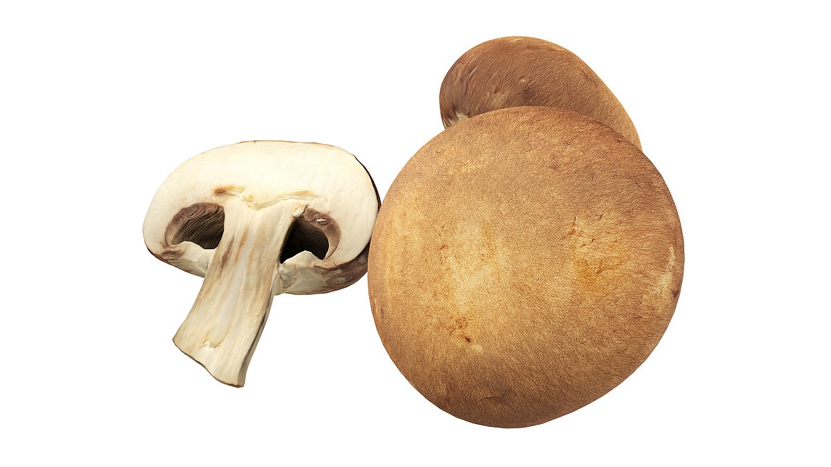 Brown cap mushrooms