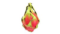 Pitaya Dragon fruit