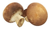 Brown cap mushrooms