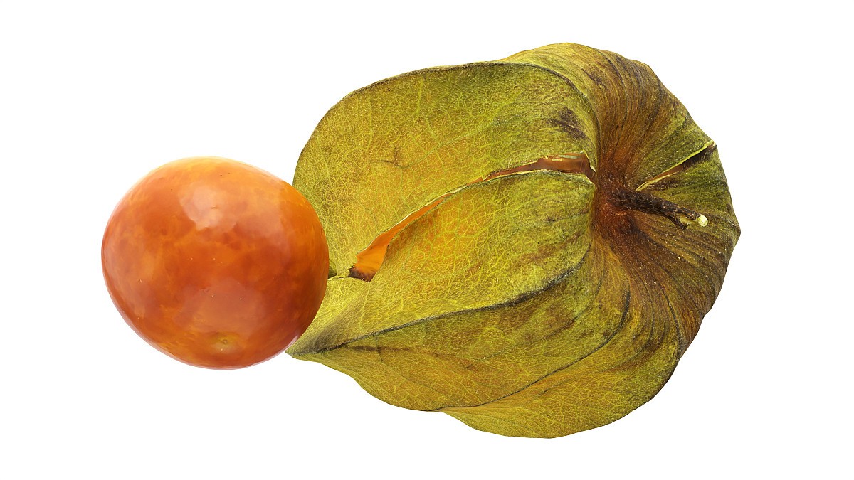 Physalis goldenberry