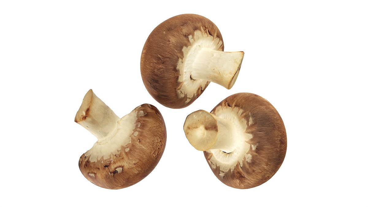 Brown cap mushrooms