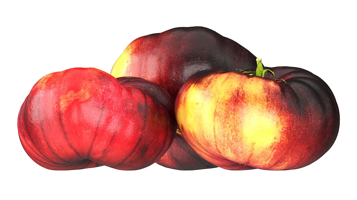 Black Krim tomato