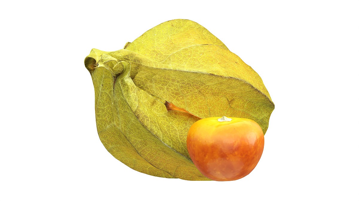 Physalis goldenberry