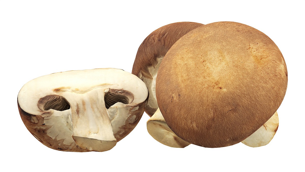 Brown cap mushrooms