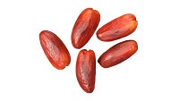 Date fruits