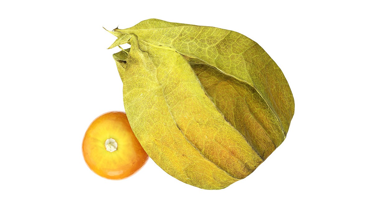 Physalis goldenberry