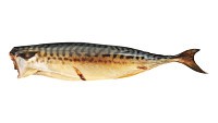 Smoked mackerel