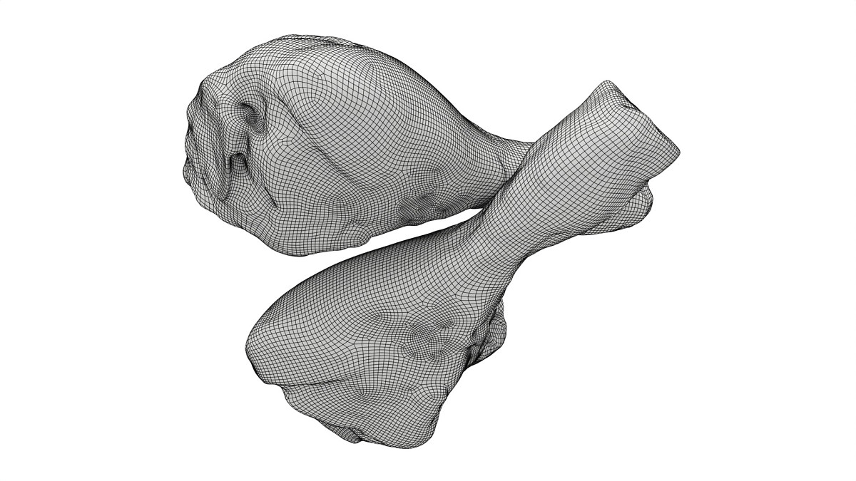 Chicken leg drumstick raw