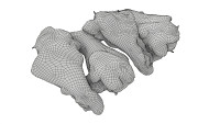 Smoked small chicken leg in packaging 01