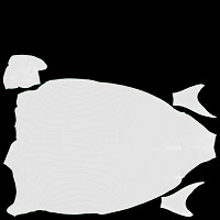 Smoked mackerel in packaging