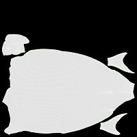 Smoked mackerel