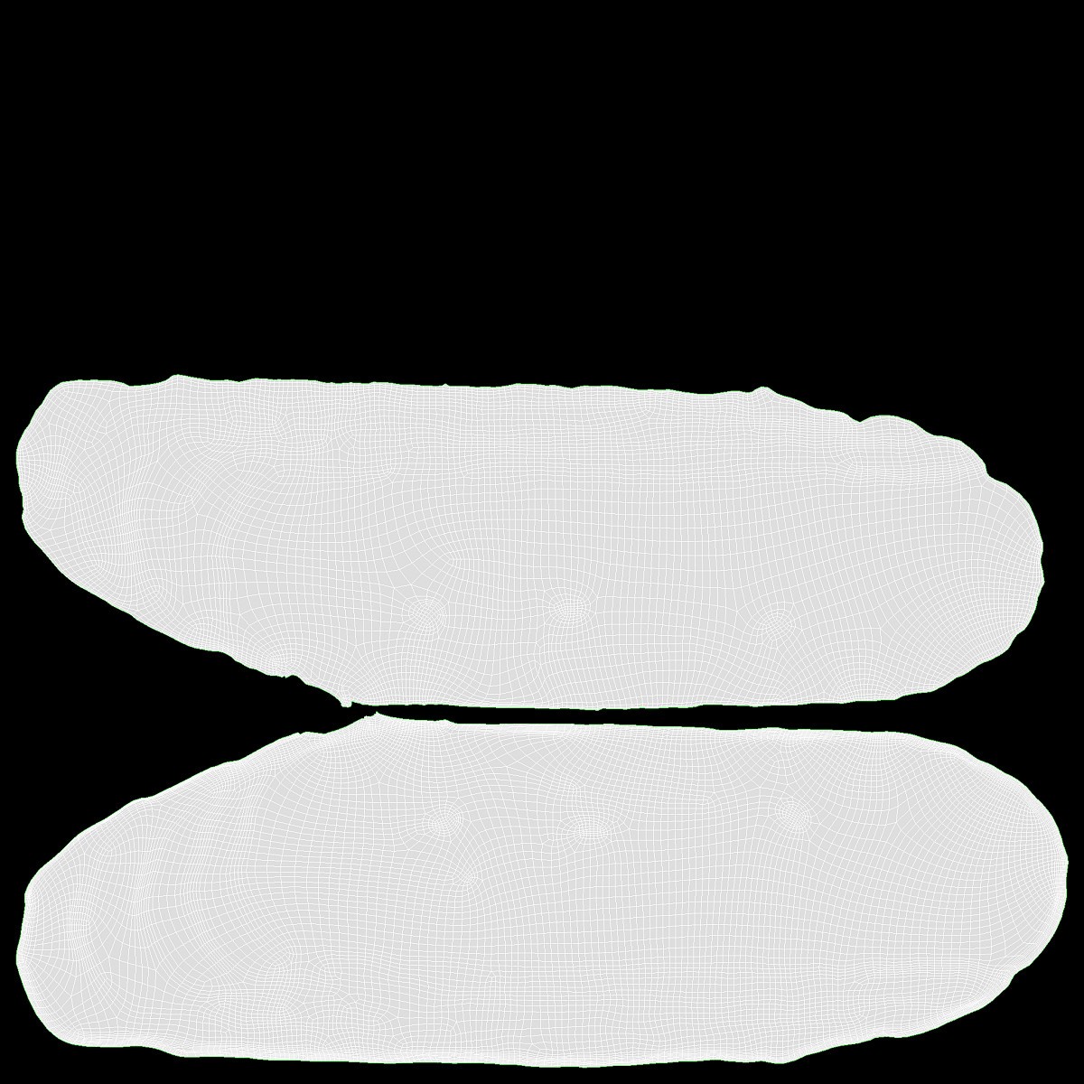 Salami sausage sliced in packaging