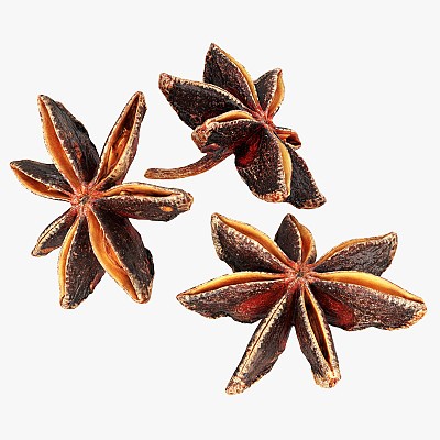 Dried anise flowers