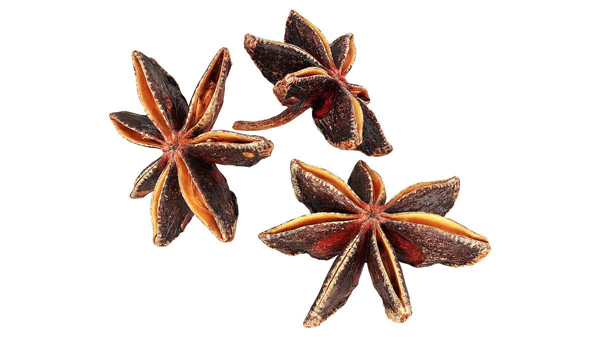 Dried anise flowers