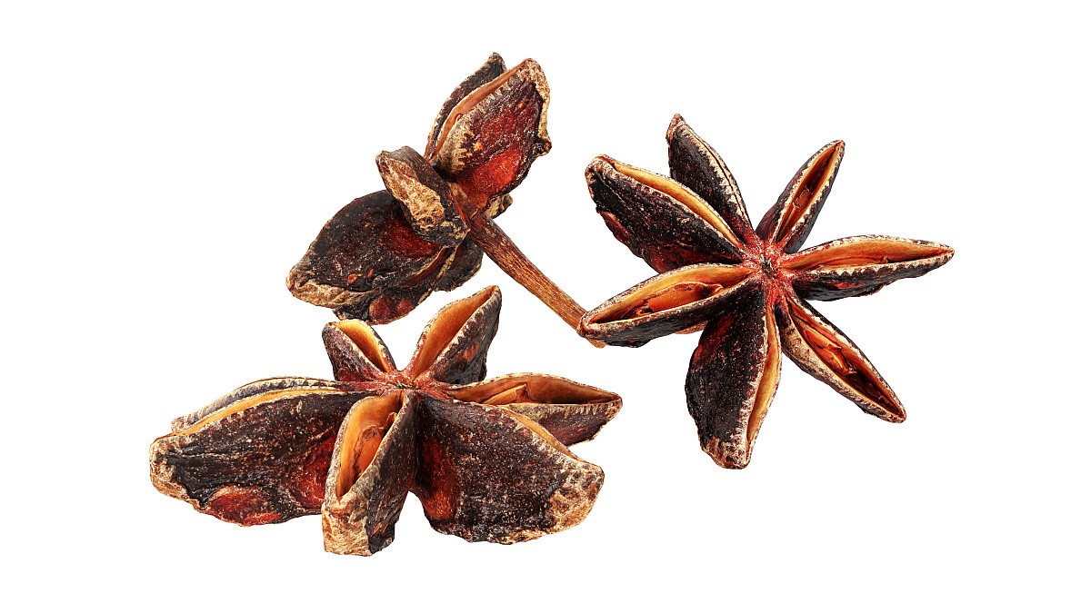 Dried anise flowers
