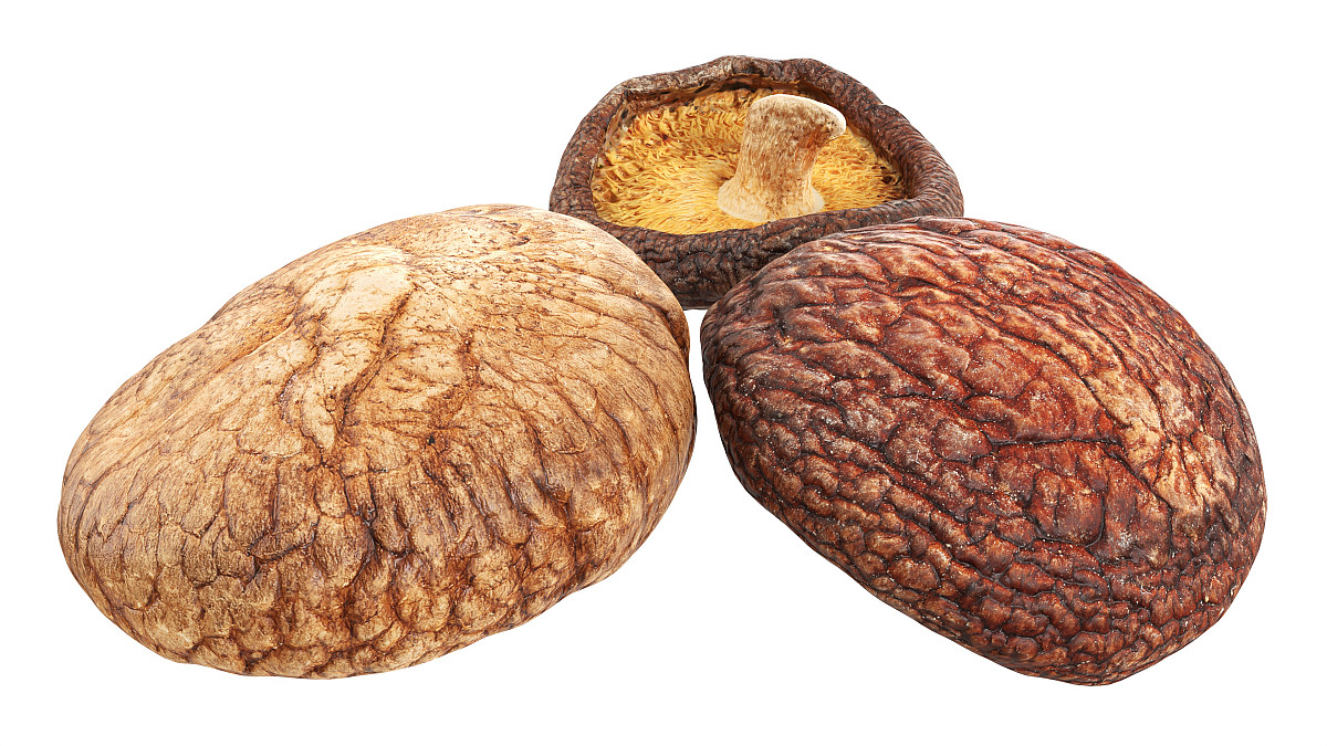 Dried Shiitaki mushrooms