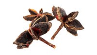 Dried anise flowers