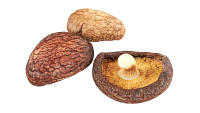Dried Shiitaki mushrooms