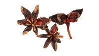 Dried anise flowers