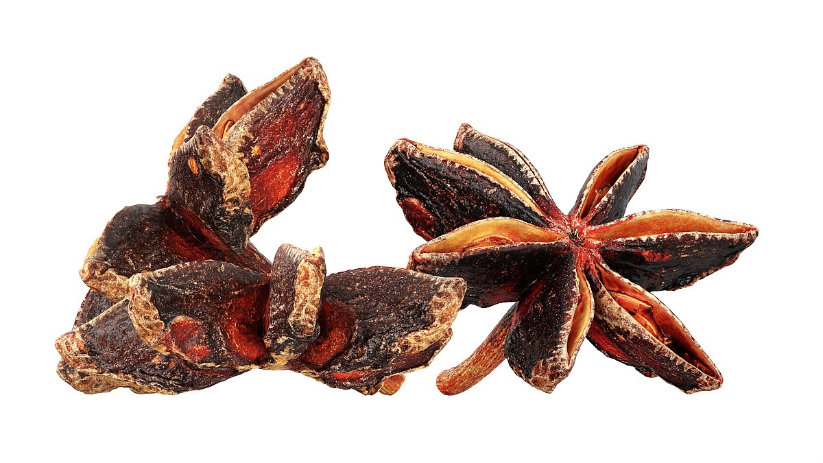 Dried anise flowers