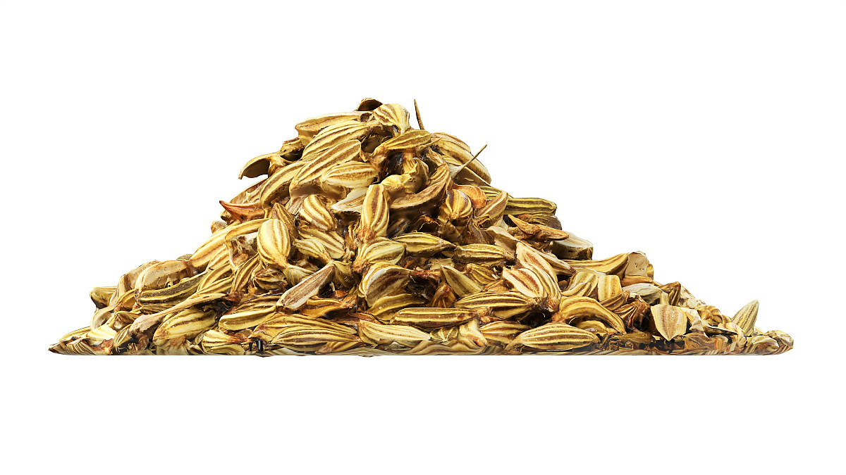 Fennel seeds