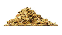 Fennel seeds