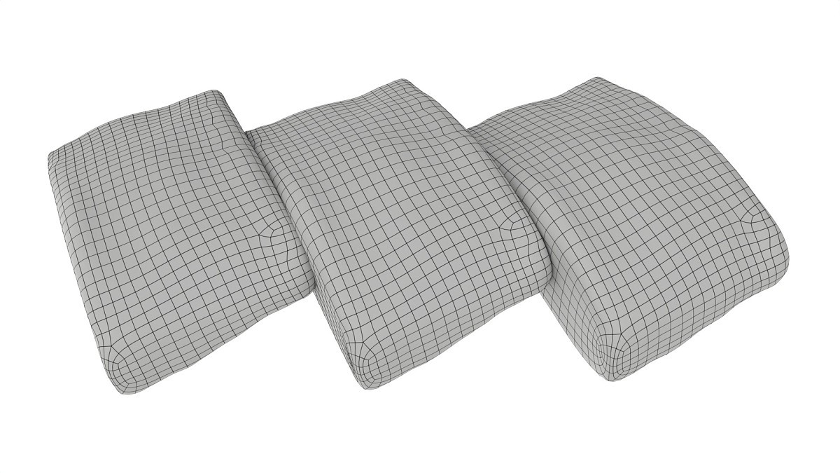 Herring fillet slices