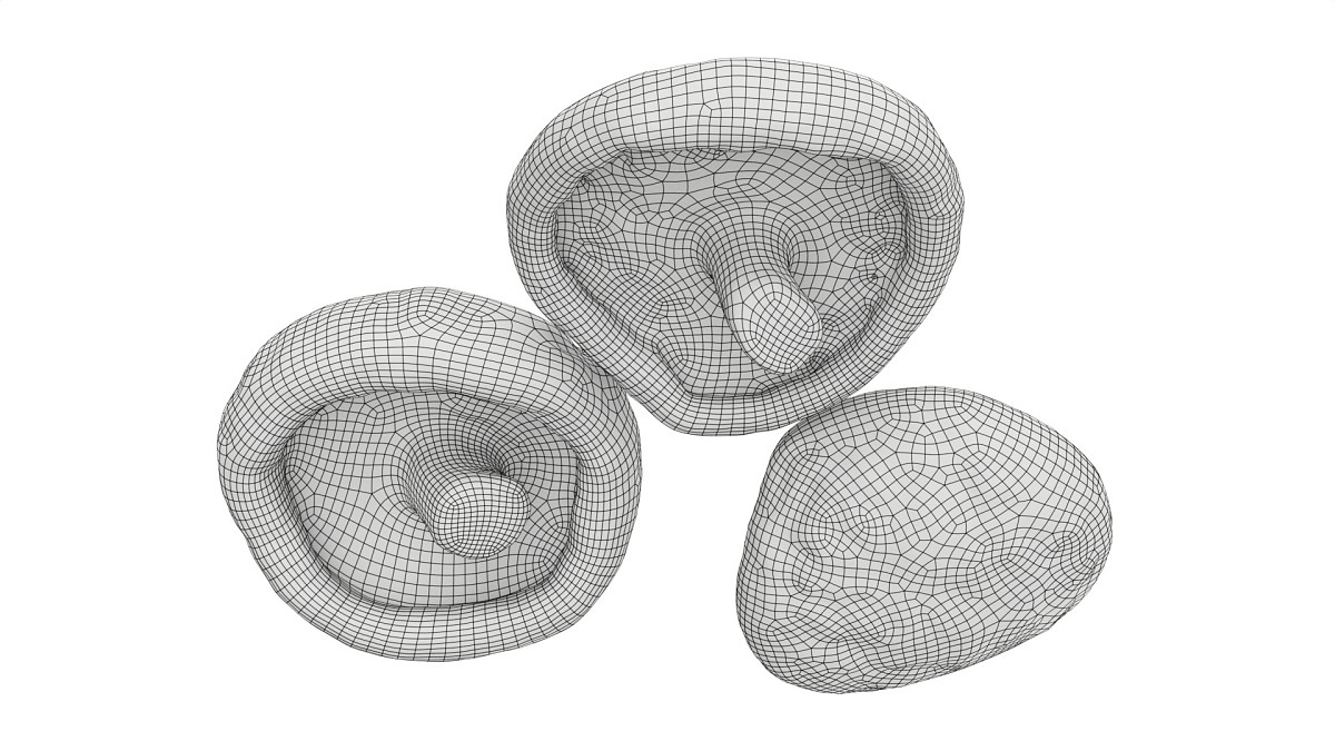 Dried Shiitaki mushrooms