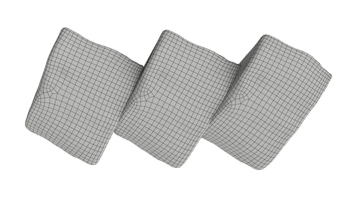 Herring fillet slices