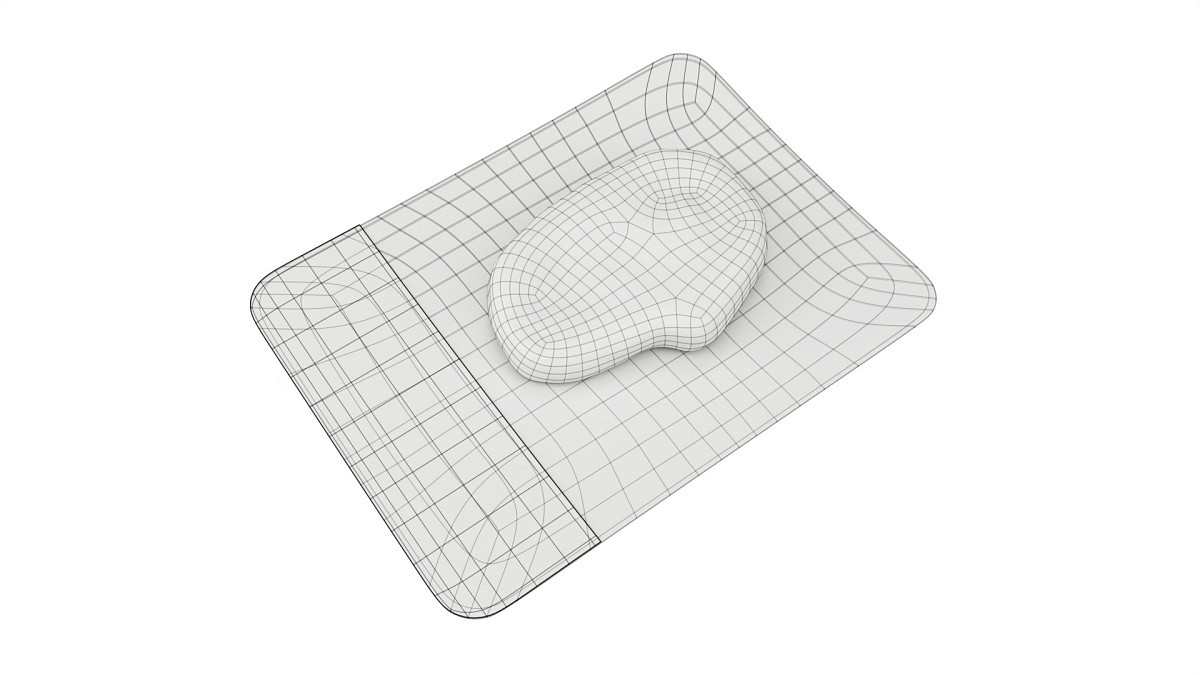 Steak in vacuum packaging 03