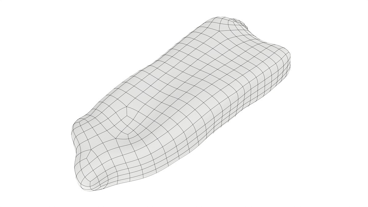 Steak in vacuum packaging 01