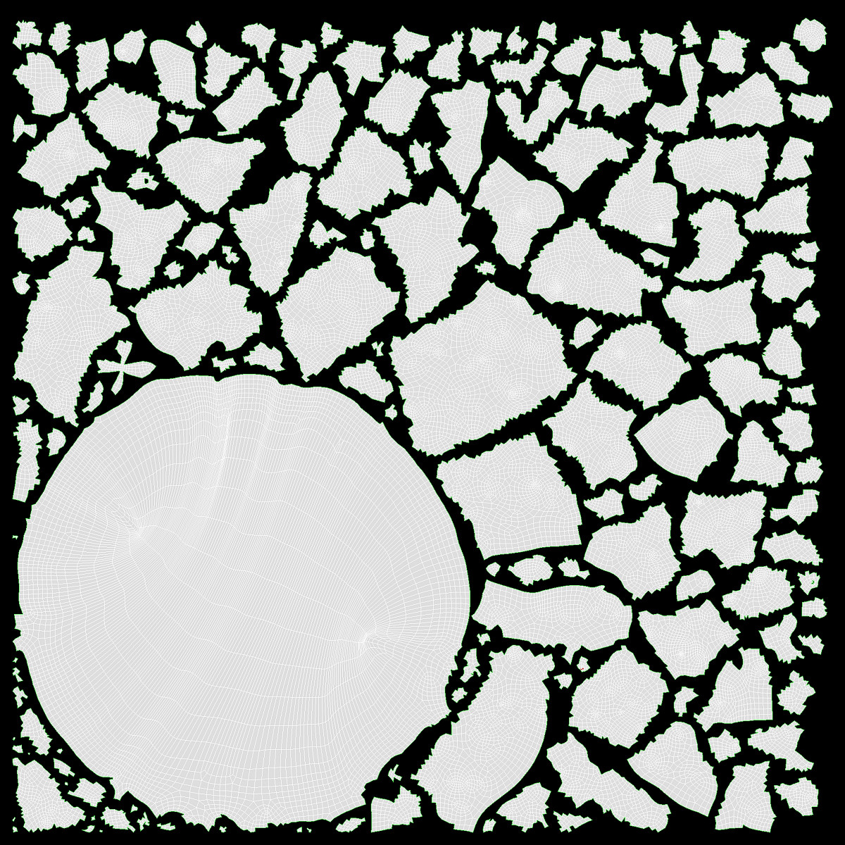 Cooked black jasmin rice