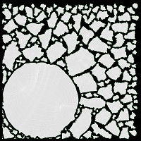 Cooked black jasmin rice