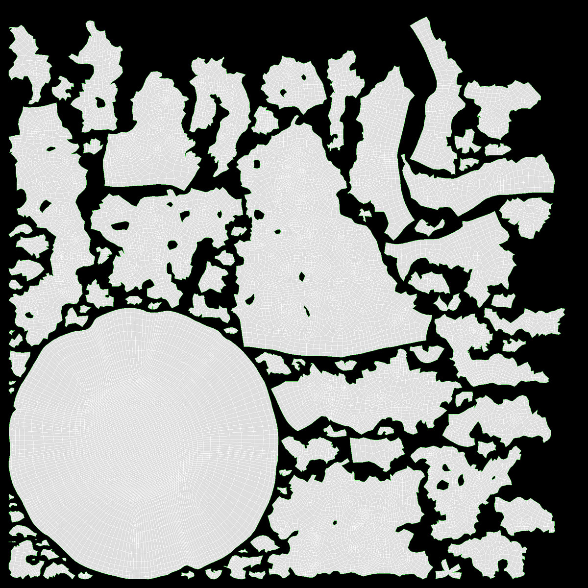 Cooked buckwheat porridge