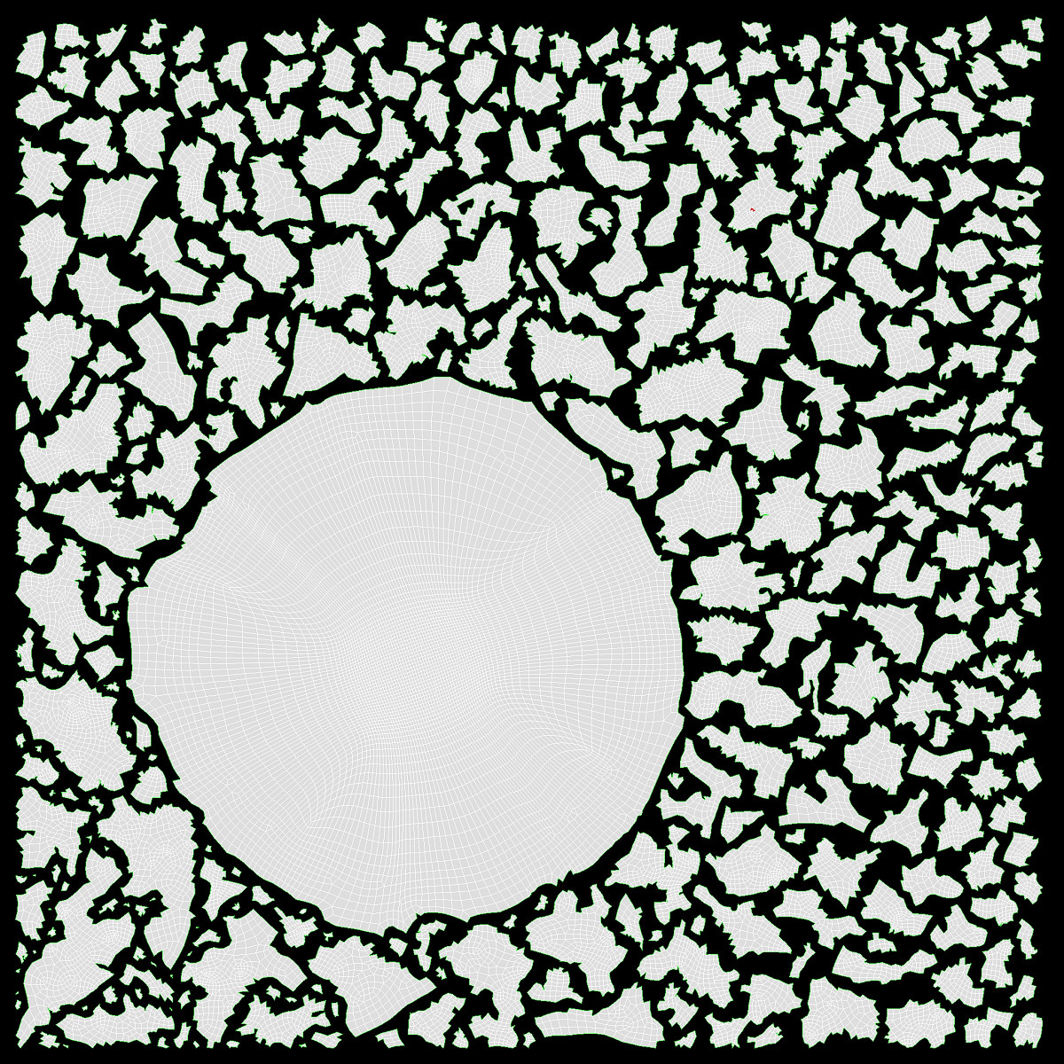 Cooked brown red rice