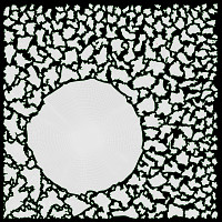 Cooked brown red rice