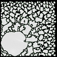 Cooked pasta fettuccine