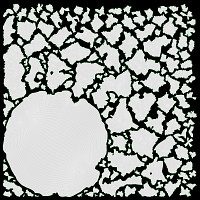 Cooked oatmeal porridge with seeds