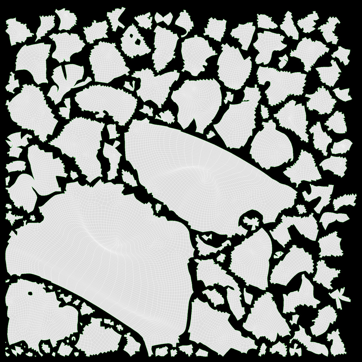 Cooked pasta orecchiette